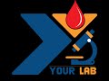 Yourlab