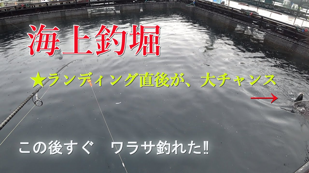 海上釣り堀まるやで釣り…2025年10月22日（水）釣り仲間の仕事関係で貸し切り…私もゲスト参加させていただきました。当日はあいにくの雨＆激寒でしたが早上がりして、みんなで焼きそばパーティーでした‼