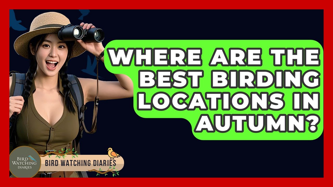 Where Are The Best Birding Locations In Autumn? - Bird Watching Diaries