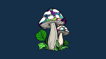 Hallucinogenic Mushrooms-Tech House Music Beat/Type Flow Music