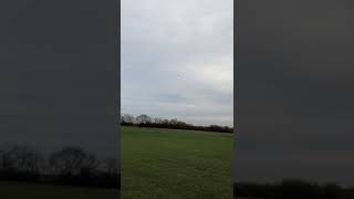 Download Lagu Formación p-51 Rc airplane MP3