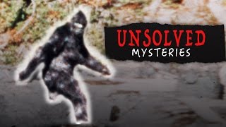 The UNSOLVED Mystery of Bigfoot