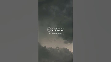 من الأية 70 إلى الأية 72 من سورة النمل 🎧