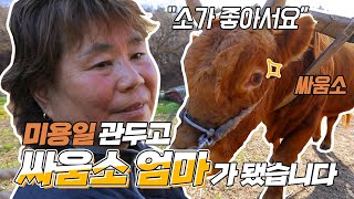 잘 되던 미용 일도 관두고, 남자도 하기 힘든 싸움소 "엄마"가 됐습니다ㅣ한국기행