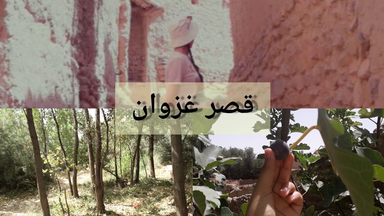 picnic/ نزهة في قصر غزوان بمنطقة بلدة تالسينت