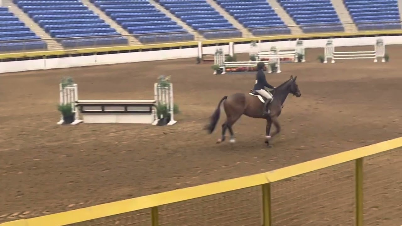 CHJA Medal Finals 2022 - 2nd Place, CO National Medal