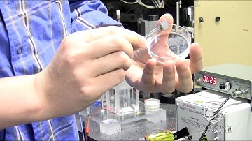 Dartmouth PhD Innovation Program: Zhiyuan Wang