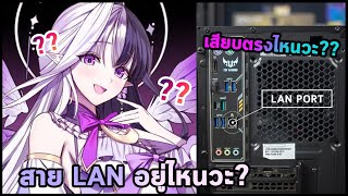 【Eileennoir】เมื่อไอลีนทะเลาะกับสาย LAN