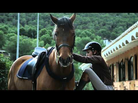 Vídeo: Hípica De Raça De Cavall De Polo Pony Argentina Hipoalergènica, De Salut I De Vida