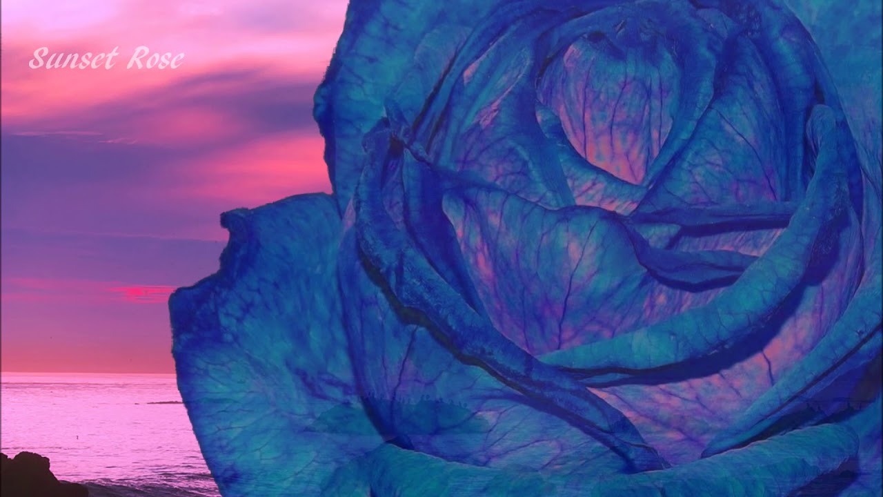 Spanish Hard Rock Music | Sunset Rose