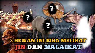 inilah 3 hewan yang bisa melihat jin dan malaikat