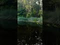 #nature