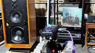 Audio Note M1 RIAA + Pinnacle ECC83 + The Cranberries 1