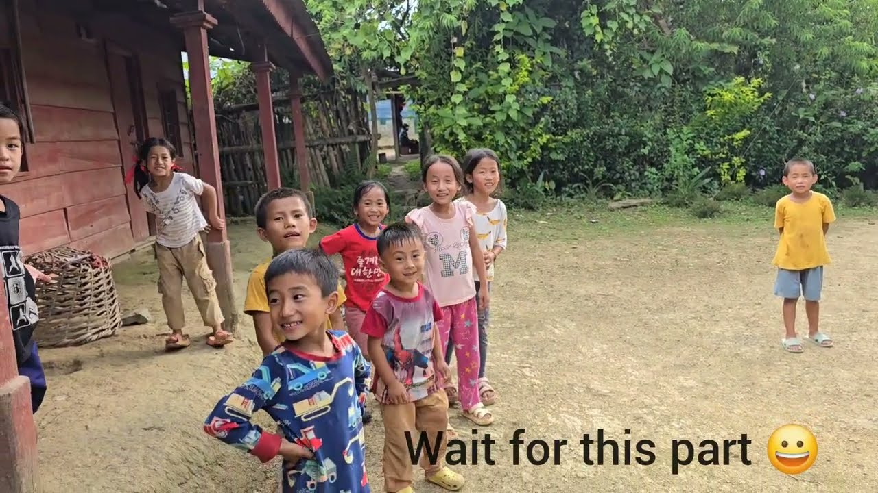 Aerial view of Laii Shirafii//Land of Fruits//Senapati Manipur //AV-1