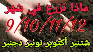 تعلم الزراعة الشتوية. ماذا نزرع في شهر  09.10.11.12 شتنبر أكتوبر نونبر دجنبر