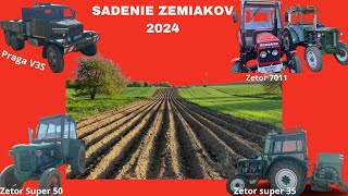 ❗️SADENIE ZEMIAKOV 2024 (3x Zetor + Praga V3S) 💥