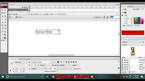Text Tool In Adobe Flash | Properties of Text tool | Dynamic Text | Input Text | Static Text