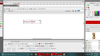 Text Tool In Adobe Flash | Properties of Text tool | Dynamic Text | Input Text | Static Text Profile