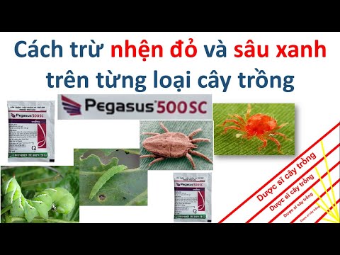 Video: Kiểm soát Sâu bọ trên Cây Mayhaw: Tìm hiểu Về Sâu bọ ăn Mayhaw