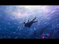 Blake Farfan - Surface