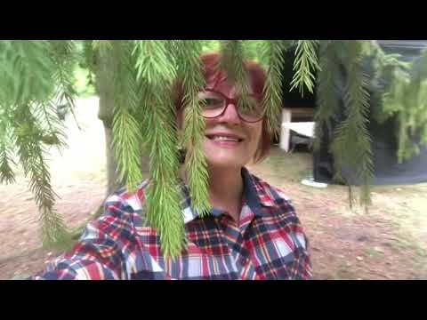 212. Эстония. Раскрываю