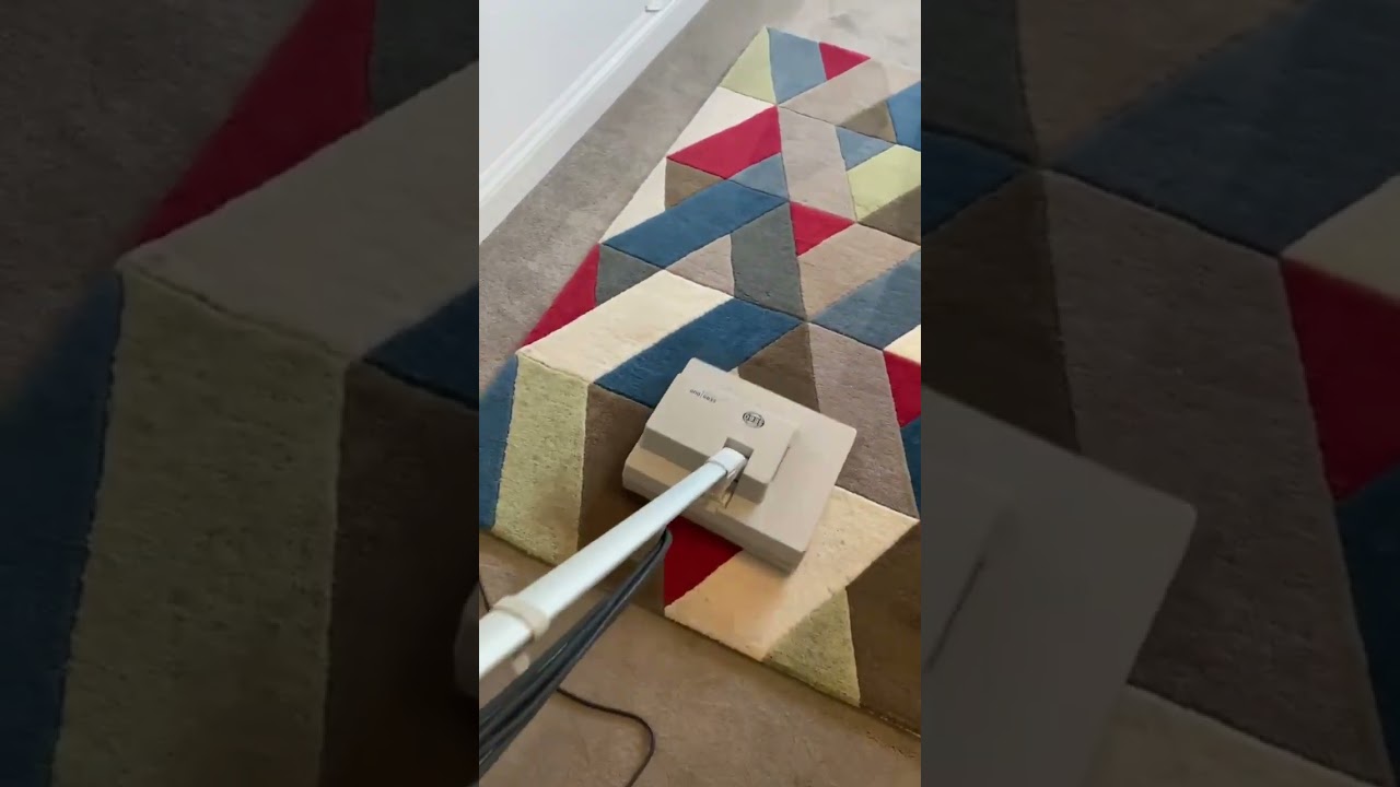 You Won't Believe the Real Colors of This Rug! 🧼✨