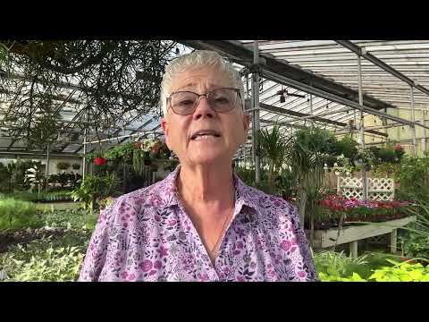 Terri Johansen - Owner, Johansen Landscape & Nursery Terri Johansen - Owner, Johansen Landscape & Nursery
