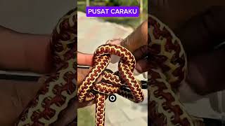 Download Lagu Pegangan Tali Super Kuat! Gampang Dibuat, Nggak Nyakitin Tangan MP3