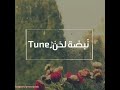 Remix 2 Ya Tair Ya Tayer حمزة نمرة ريمكس الموسم الثاني يا طير يا طاير 