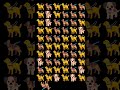 karke dekho jarur hoga#dogs#real#magic#gacts#shortvideo#trending