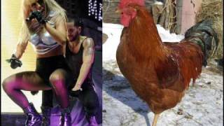 Lady GaGa's Cock - The Song (by Dani A.)