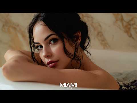 DavBo - More Night