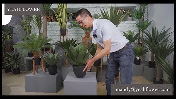 Artificial Trees Aloe Dracaena Agave Cycads Pot Live Show Part1 IN the Canton Fair 2020
