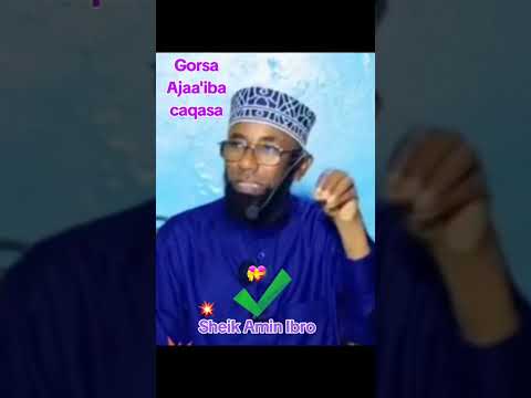 Sheik Amin Ibro Gorsa Ajaaiba Caqasa
