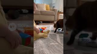 20251120 1510 01kaftann4es39w2mxvfdc0690