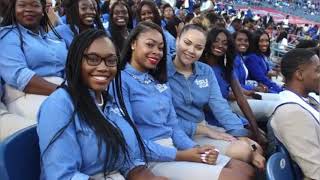 HBCU Tours - Tennessee State University Tigers - Everything You Need To Know & See