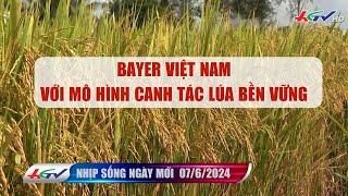 Nhịp sống ngày mới | Truyền hình Hậu Giang