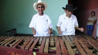 Marimba Musicians in Roatan, Honduras
