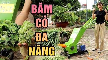 Máy Băm Cỏ Gia Đình 6TA SP Băm Nhỏ Hết Tất Cả Năng Suất 8 Tạ Một Giờ
