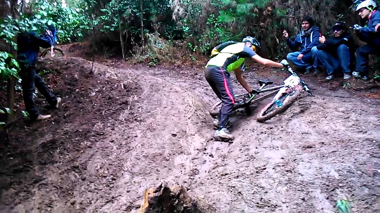 carrera xcm mountain bike