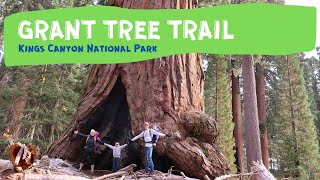 Grant Tree Trail, Kings Canyon National Park