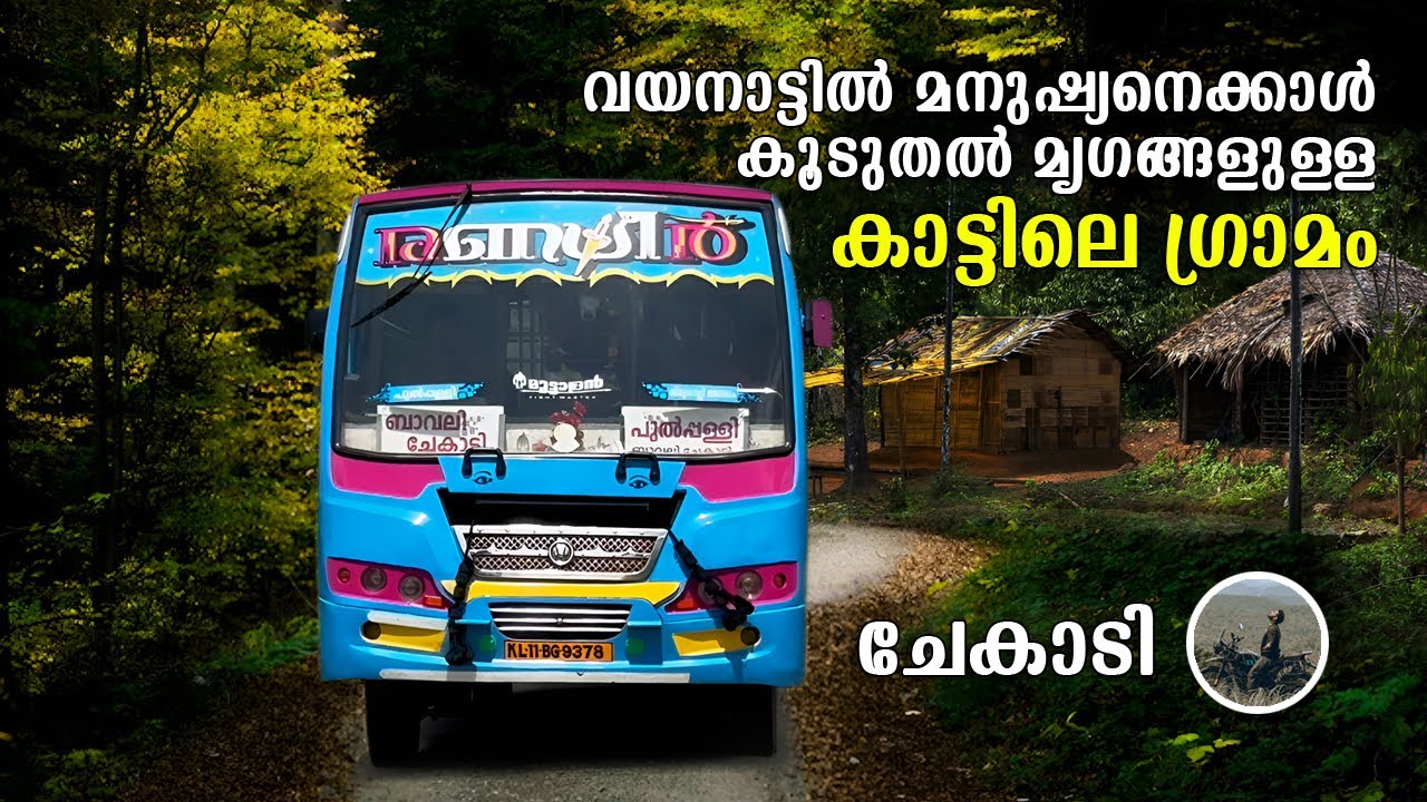 Wayanad | മനുഷ്യനെക്കാൾ കൂടുതൽ മൃഗങ്ങളുള്ള  ഗ്രാമം | Chekadi village | TRIBAL VILLAGE | free20