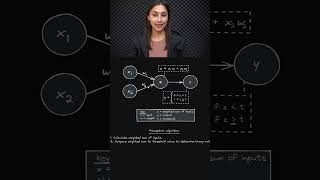 Perceptron Algorithm Summary 📄 - Deep Learning Beginner 📘🧠 - Topic 026 #ai