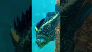 You make me feel that LOVE again👩‍❤️‍💋‍👩#girlstrip #seattle #remix #oftheday #sofun #sister #mom