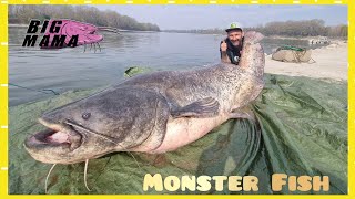 Big FISH puts the fishermen in difficulty by Catfish World by Catfish World by Yuri Grisendi 111,357 views 2 months ago 4 minutes, 36 seconds