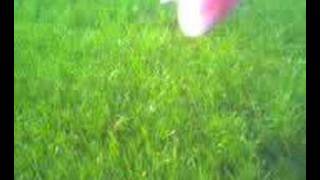 Merinthe\u0026Lara =D