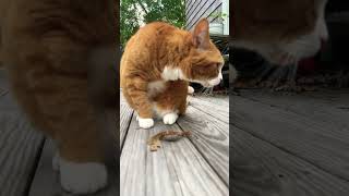 Do you accept my offer?