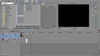 Sony Vegas 8.0/9.0 Pro | Video FX Tutorial