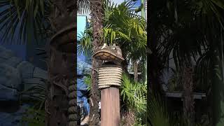 Outside Crush’s Coaster at Disneyland Paris | Walt Disney Studios Park 2025