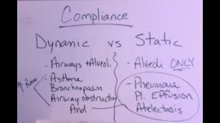Dynamic vs Static Compliance with Graphics Analysis!